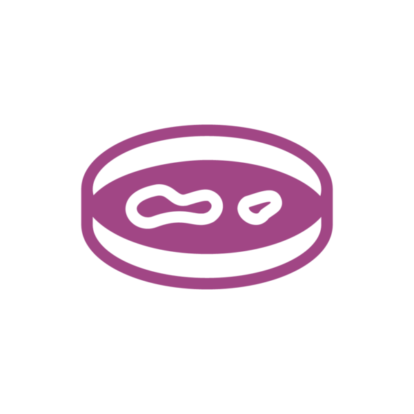 Noun Petri Dish 1238117 Noun Petri Dish 1238117