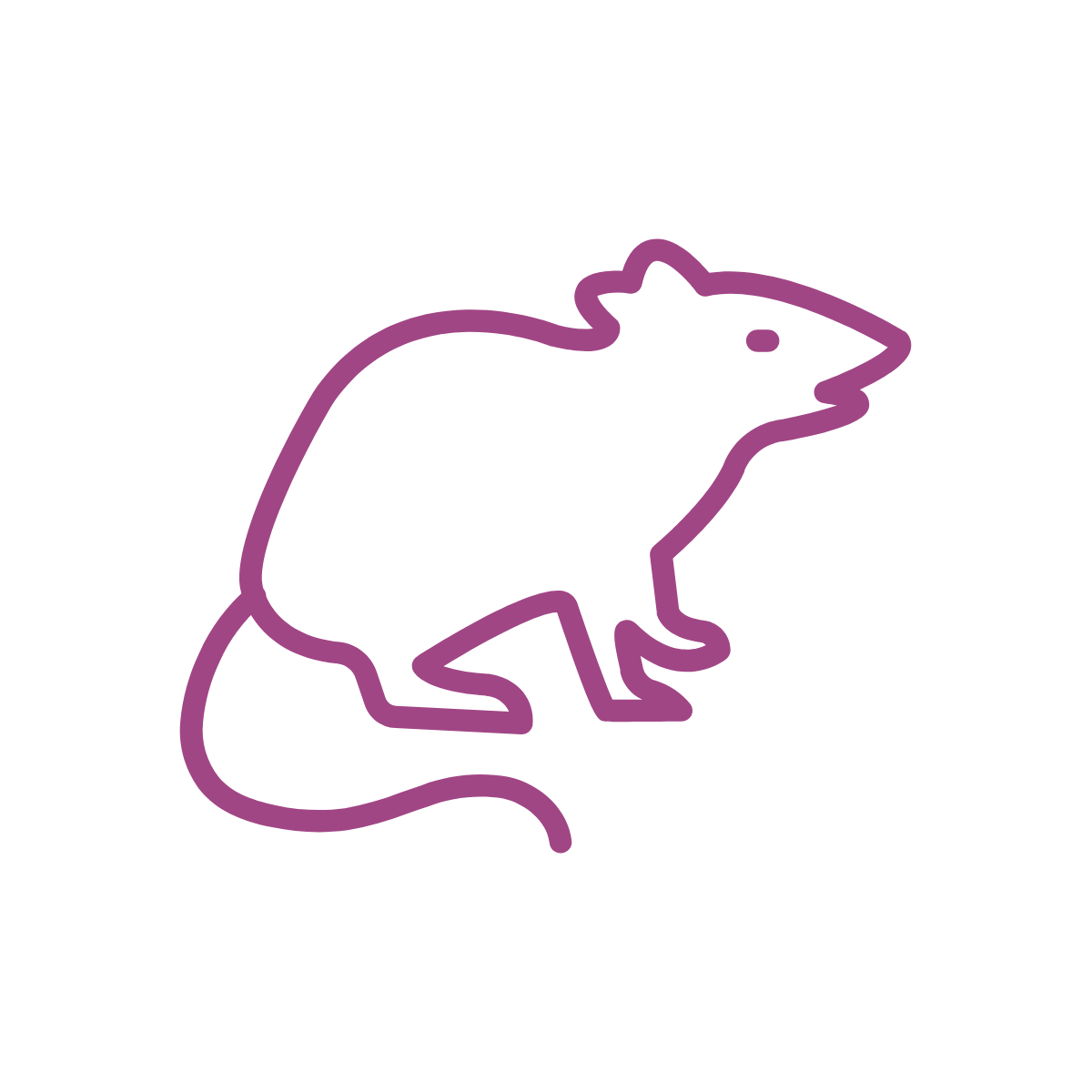 Noun Rat 3583739 Noun Rat 3583739