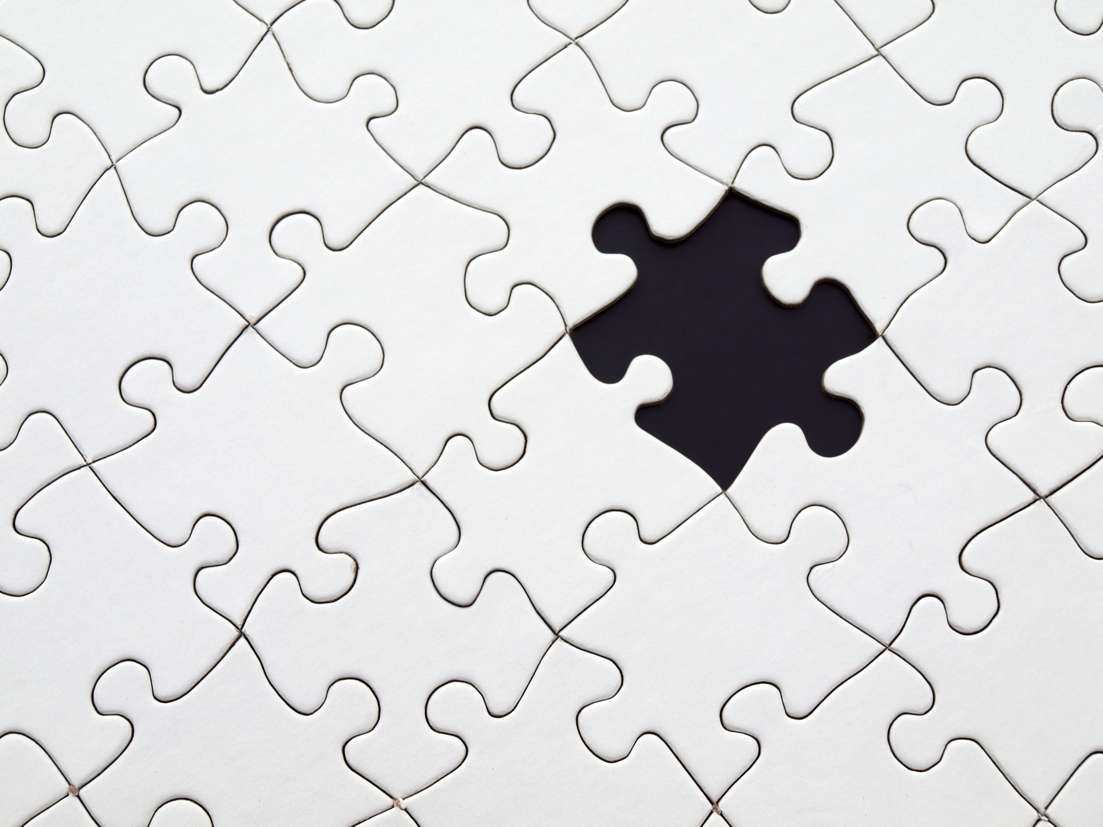 Puzzle Piece Missing Puzzle Piece Missing